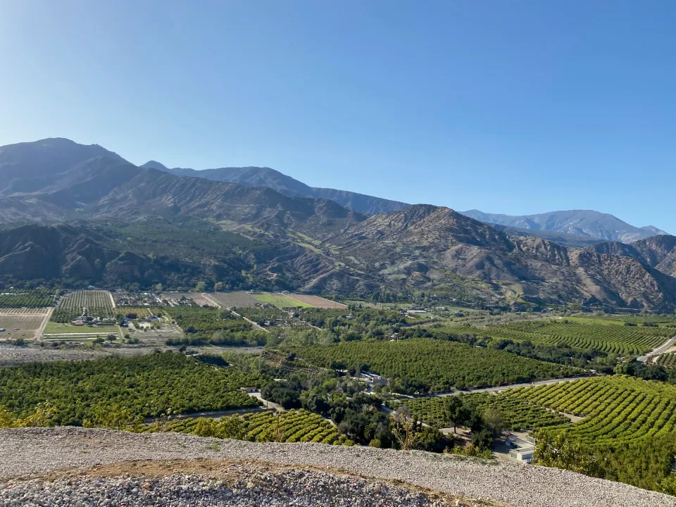 Citrus orchards filling the valley below steep mountains