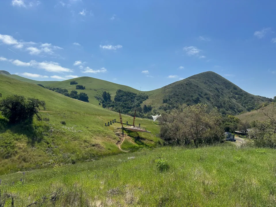 Green spring hills and oaks below a rounded peak