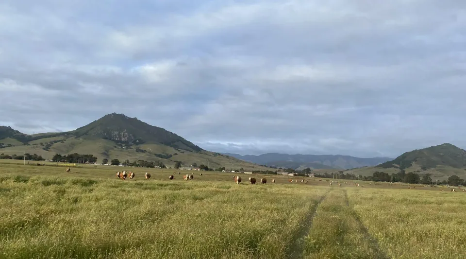 Open grassland and a volcanic peak under a wide sky