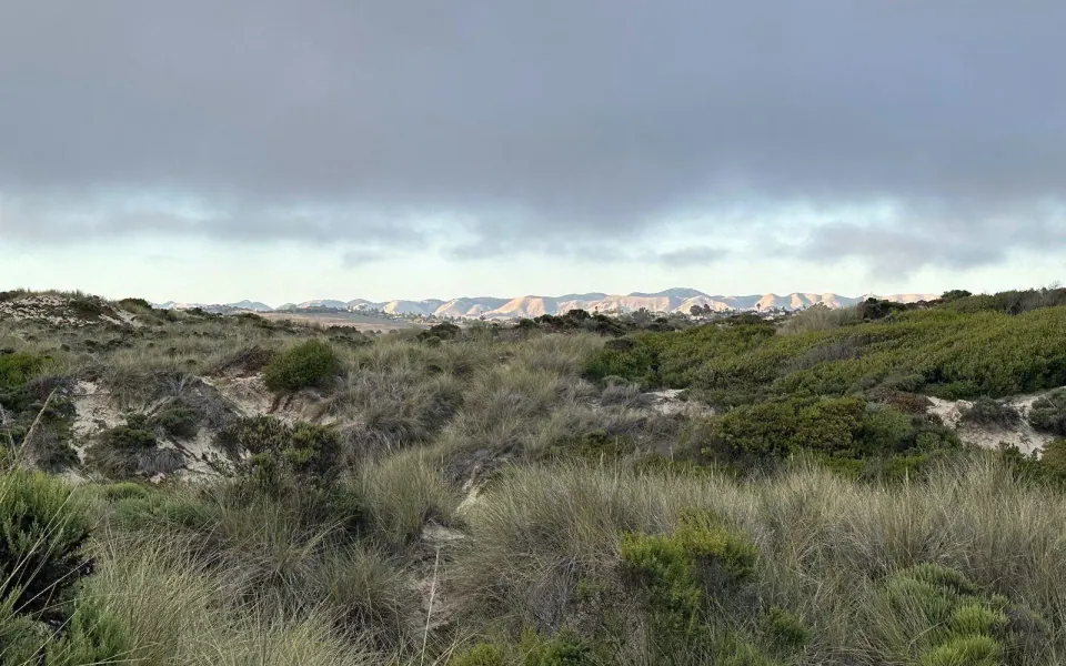 Central Coast hills and homes
